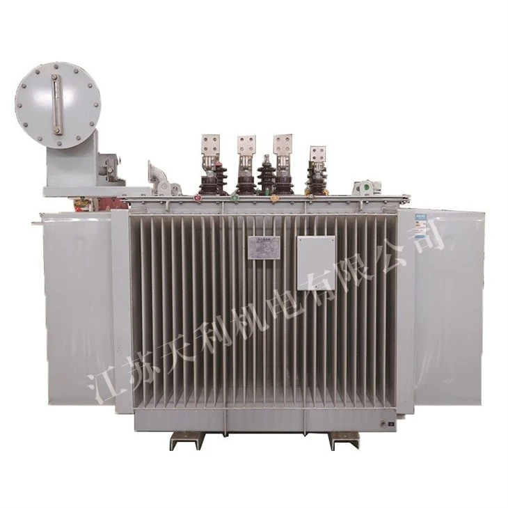 10kV Series Oil-immersed Distribution Transformer